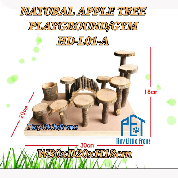 Natural Apple Tree Playground / Gym