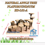 Natural Apple Tree Playground / Gym