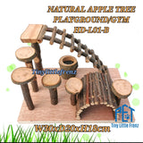 Natural Apple Tree Playground / Gym