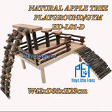 Natural Apple Tree Playground / Gym