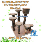 Natural Apple Tree Playground / Gym