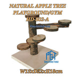 Natural Apple Tree Playground / Gym