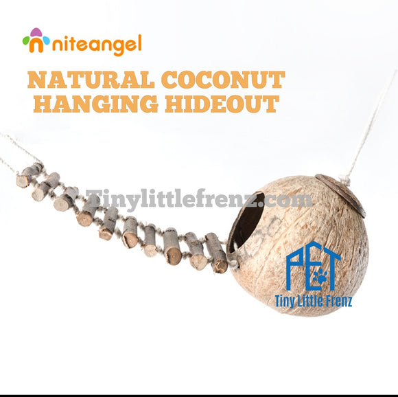 Niteangel Hanging Coconut Hideout