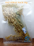 Natural Flax Spray / Silver Millet Spray / Oat Spray / Yellow Millet Spray Treats for Hamster & Parrot